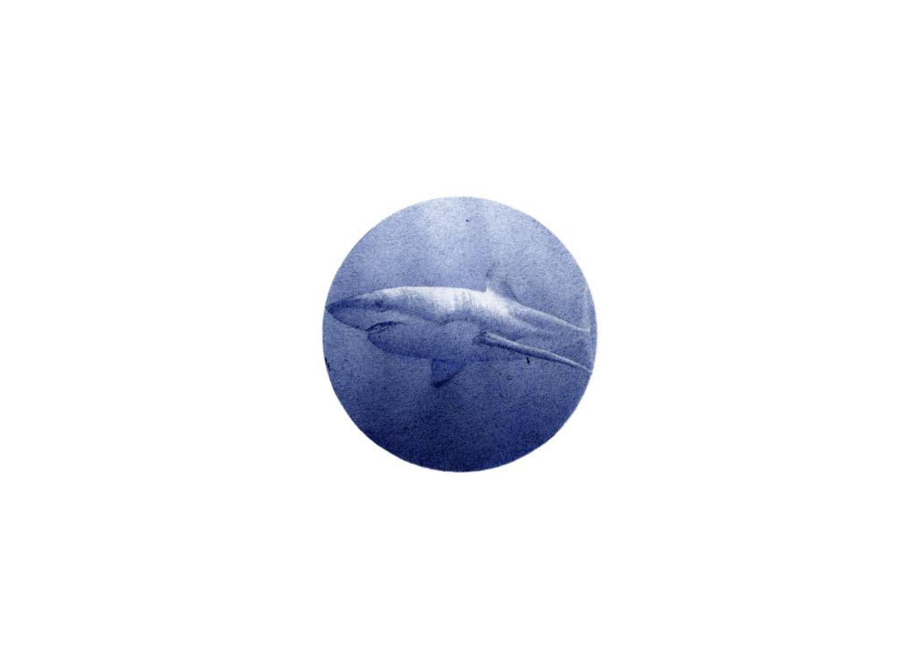 leslie rivalland requin stylo-à-bille